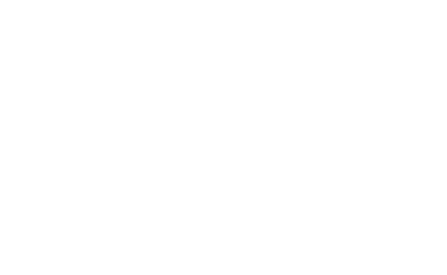 Silhouette of the United States